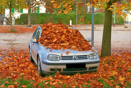 Herbstliche Aussichten - fotografiert auf einem Parkplatz in Thannhausen.